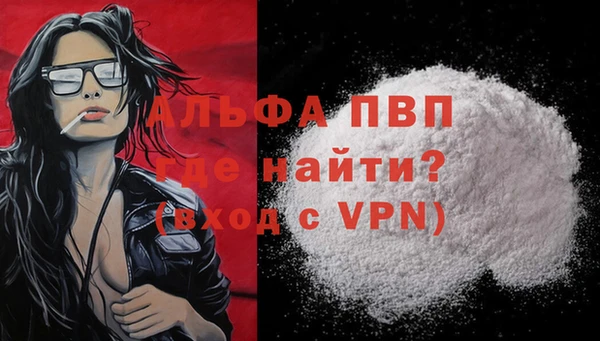 гашик Володарск