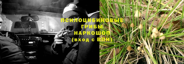 бутират Бугульма