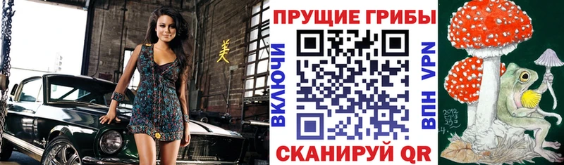 Галлюциногенные грибы GOLDEN TEACHER Жиздра