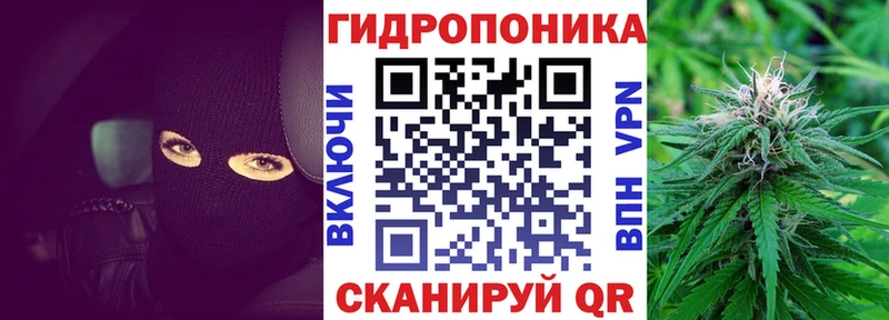 MEGA как войти  Жиздра  Бошки марихуана конопля 